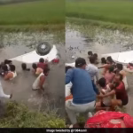 5 Friends In Uttar Pradesh Jump Into Ditch To Rescue People Trapped In Sinking Car